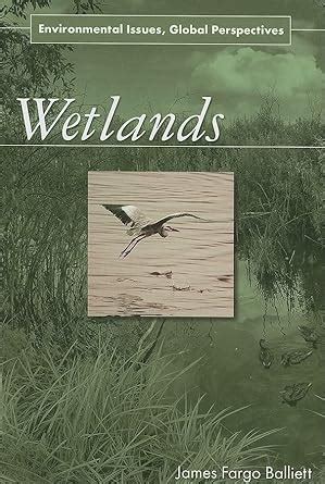 wetlands environmental issues global perspectives Epub
