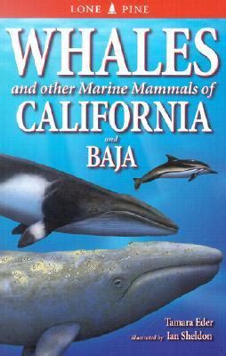 whales and other marine mammals of california and baja Reader