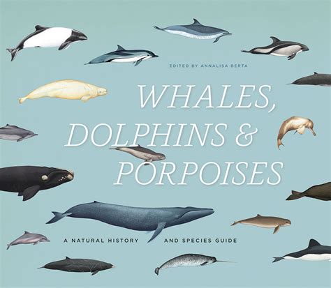 whales dolphins and porpoises a natural history and species guide Kindle Editon
