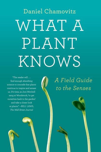 what a plant knows a field guide to the senses Reader