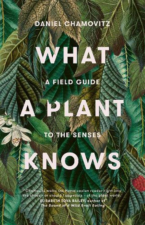 what a plant knows a field guide to the senses daniel chamovitz Epub