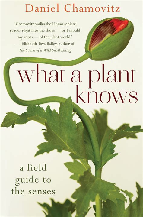 what a plant knows what a plant knows Reader