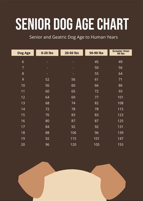 what age is a senior dog