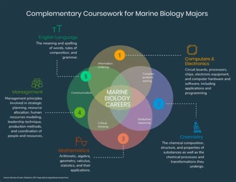 what can i do with a marine biology degree