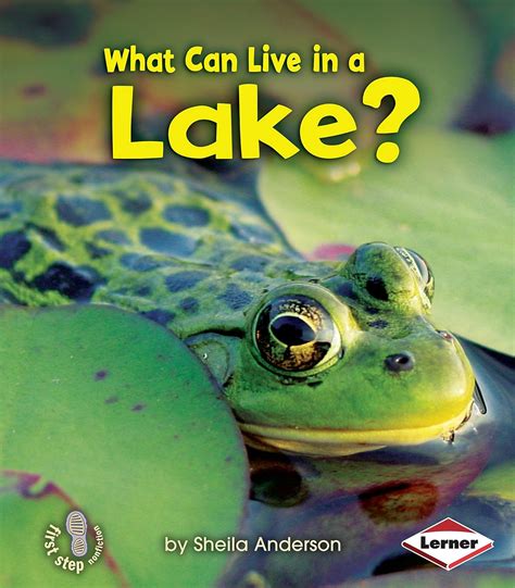 what can live in a lake? first step nonfiction Epub
