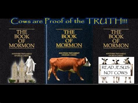 what do the cows in a mormon church represent