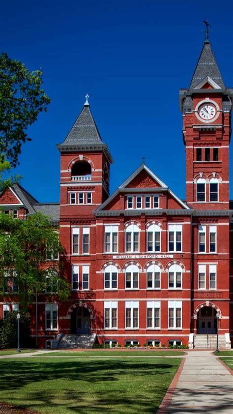 what do universities look for