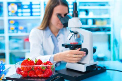 what does a food scientist do
