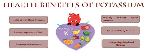 what does potassium do for the body