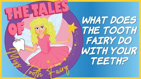 what does the tooth fairy do with our teeth? Doc