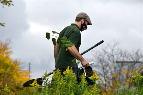 what education is needed for a groundskeeper