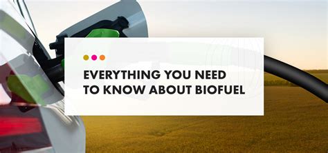 what education is needed to work at biofuels