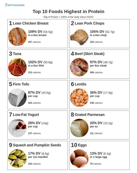 what foods are high in protein