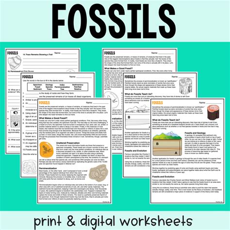 what is a fossil? real readers level 3 PDF