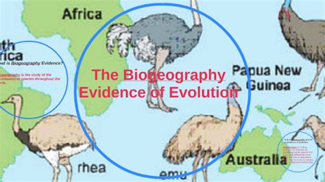 what is geographical evidence