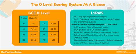 what is o level in singapore