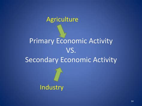 what is primary economic activity