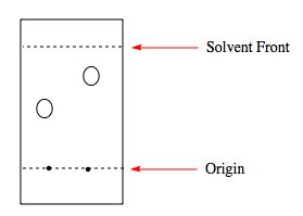 what is solvent front