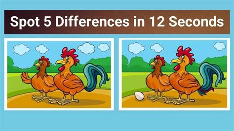 what is the difference between a.a and a.s