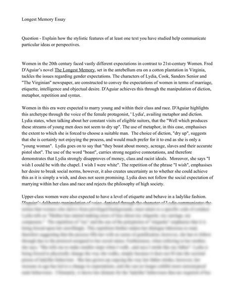 what is the longest essay ever written