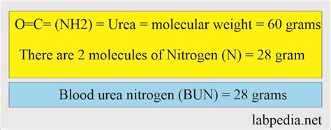 what is the value of n in the equation