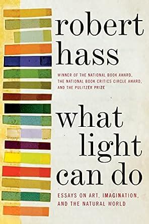 what light can do essays on art imagination and the natural world Reader