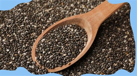 what to do in chia