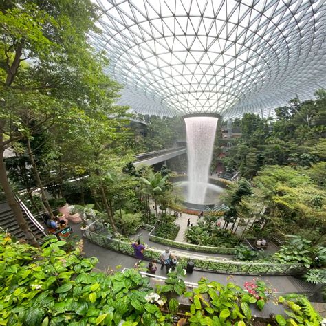 what to eat at jewel changi