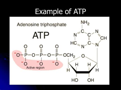 what type of macromolecule is atp
