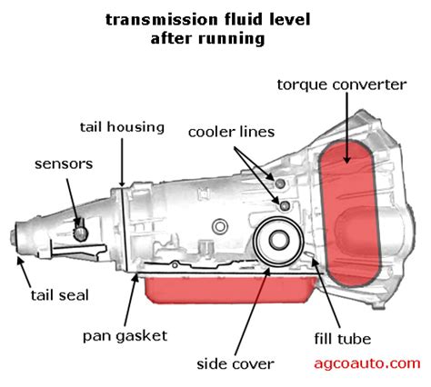 what39s the difference between automatic and manual transmission fluid Reader