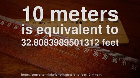 whats 10 meters in feet