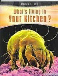 whats living in your kitchen? hidden life Doc