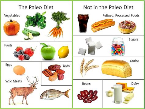 whats the deal with primal eating and the paleo diet? Reader