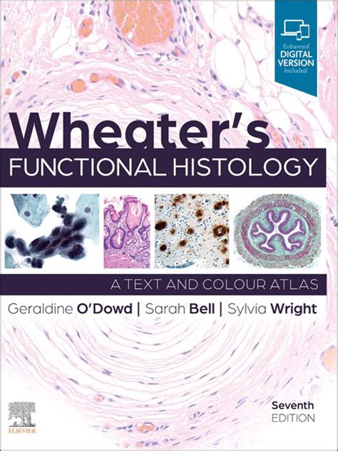 wheaters functional histology a text and colour atlas Kindle Editon
