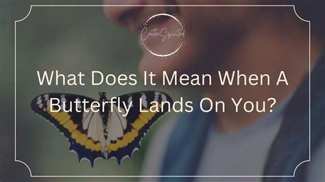 when a butterfly lands on you what does that mean