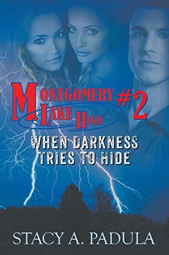 when darkness tries to hide montgomery lake high no 2 Kindle Editon