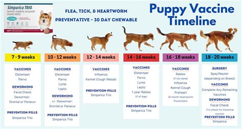 when do puppies get their first shots