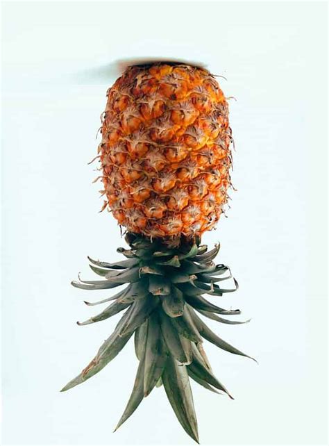 when life gives pineapples upside down Epub