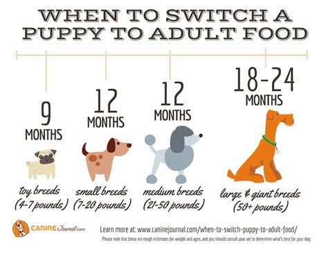 when to switch from puppy food