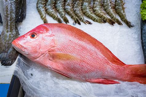 where can i buy red snapper in phoenix az