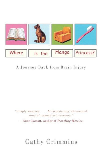 where is the mango princess? a journey back from brain injury Kindle Editon