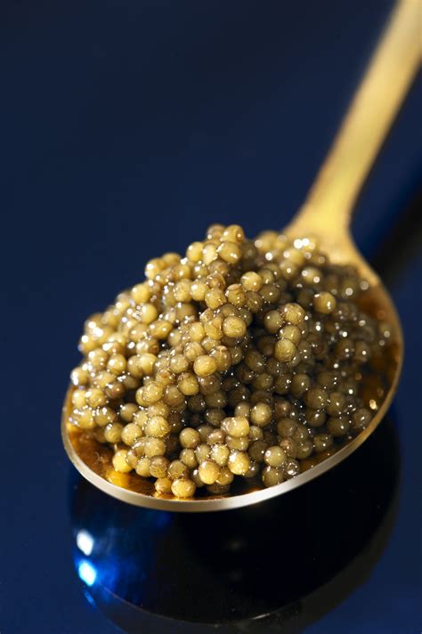 where to buy caviar in singapore