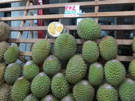 where to buy durian in singapore