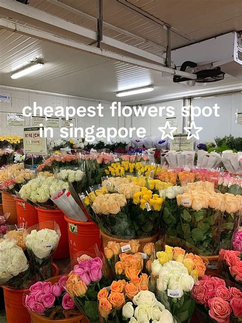 where to buy flowers in singapore