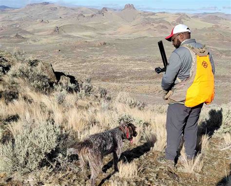 where to hunt chukar and quail in southern utah Kindle Editon