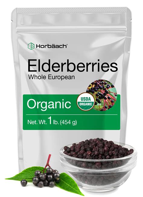 where to purchase elderberries