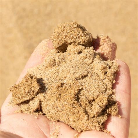 where to purchase sand