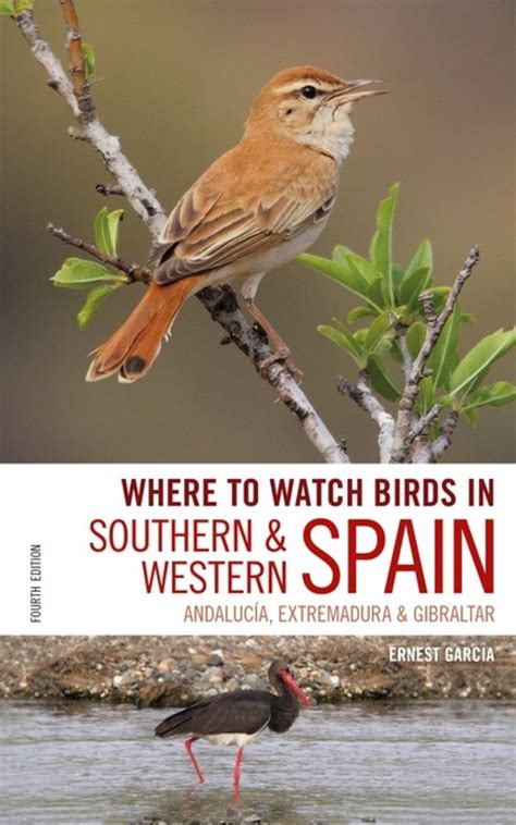 where to watch birds in southern and western spain Reader