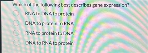 which best describes a gene