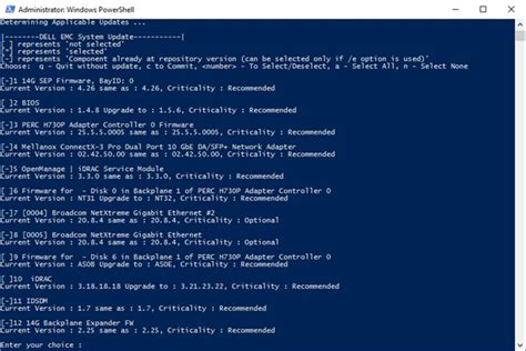 Which Catalog File Does Dell S Dsu Use